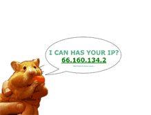Tablet Screenshot of icanhasyourip.com